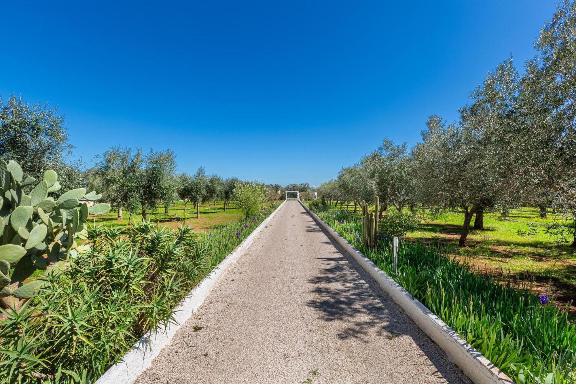 Villa La Bianca Ostuni By Barbarhouse Carovigno Exterior photo